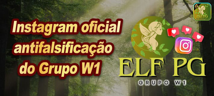 Acesso elfpg.com